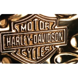 $25.0 Harley Davidson Gift Card at 0.0% off