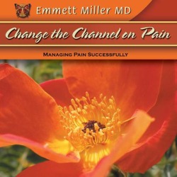 Change the Channel on Pain - Download