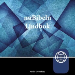 nuBibeln, Audio Download - Download