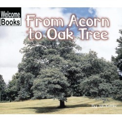 Welcome Books-How Things Grow: From Acorn to Oak Tree