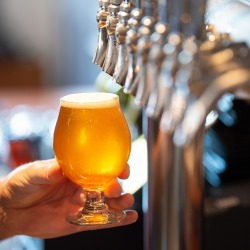 Brews n 'Baahhs': Goat Visit + Craft Beer Tasting Experience
