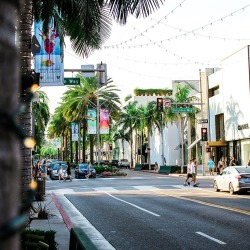 Los Angeles Photoshoot: Chic Beverly Hills with Personal Photographer