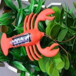 Solar Powered Lobster