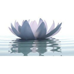Master Meditation in 7 Simple Steps