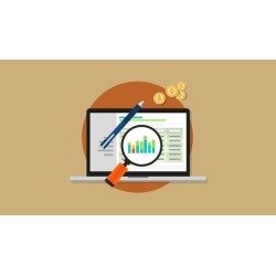 Pastel Accounting Software