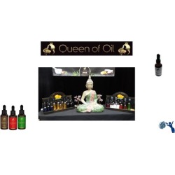 Queen of Oil training programme