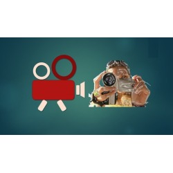 Web Video Editing and Production (Camtasia, PPT, Audacity)