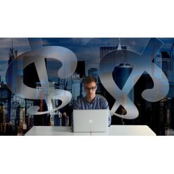 The Online Multi-Business Master Plan