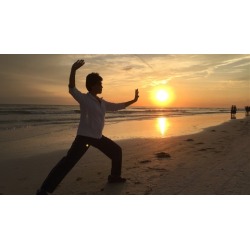 Easy-To-Learn Tai Chi Program (24 Steps, Yang Style)