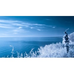 Success with Infrared Photography