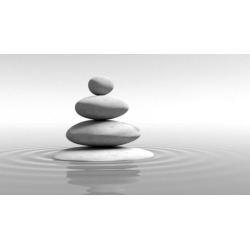 Fully Accredited Professional Diploma Course in Feng Shui