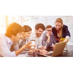 Essential Presentations for Business Analysts and Consultant