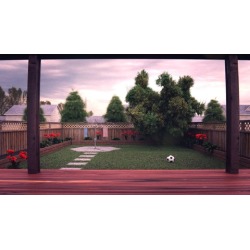 Creating a Realistic 3D Backyard In Blender