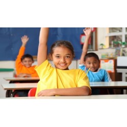 Motivation, Memory & Metacognition for Children with LD