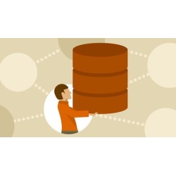 CISSP Communication and Network Security Practice Test