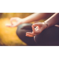 Fully Accredited Complete Meditation Certification Diploma