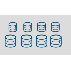 Introduction to Database Management Systems (DBMS)