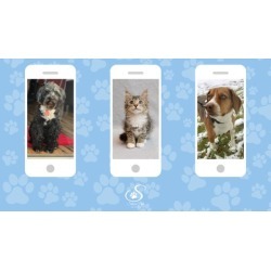 Cell Phone Photography for Pet Lovers