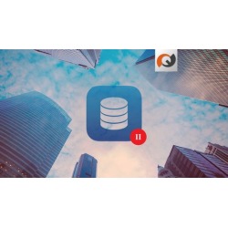 Oracle 11g PL/SQL Fundamentals II