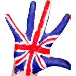 English Language for Beginners using Five Golden rules