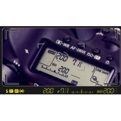 EasyDSLR Digital Photography Course for Beginners