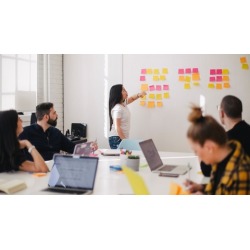 Certified Software Business Analyst