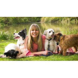 Dog Training - Become A Dog Trainer - Dog Training Career