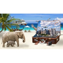 Exploring Dreams #1: Fascinating Facts & Cool Case Studies