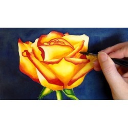 Paint a Watercolor Rose - Watercolors for Beginners