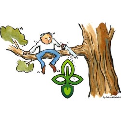 Pruning Trees and Shrubs - Everything you need to know