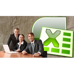 Excel for Business and Professional Services - Essentials
