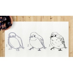 Learn How to Draw Anything! In 3 Simple Steps