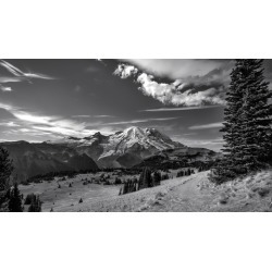 Become a Master of Black & White Photography