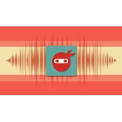 Podcast Audio Editing Ninja