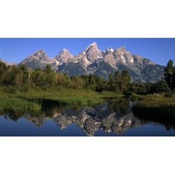 Ultimate Guide to Landscape and Nature Photography
