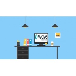 Wave Accounting software