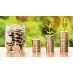 Personal Finance Mastery for (Young) Adults