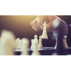 Playing and Understanding Chess - Key Concepts for Beginners