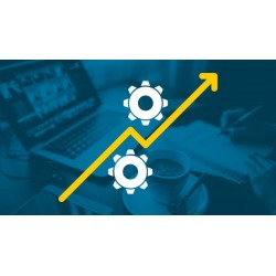 Entrepreneurship Systems, Automation and Delegation