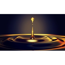 Physics - Waves, Sound, & Optics - High School & AP Physics