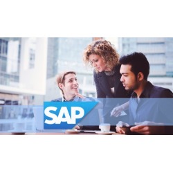Learn SAP Automatic Account Determination-MM-FI Integration