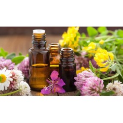 Aromatherapy Basics
