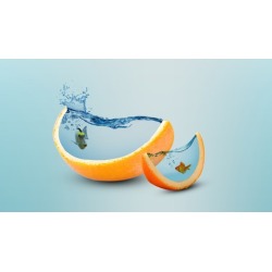 Learn Photoshop Mastery Course