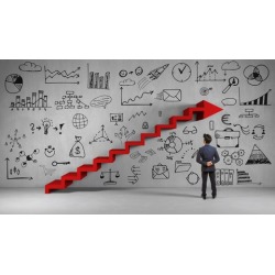 Performance Improvement Projects for Management Consultants
