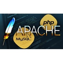 STARTUP APACHE, MYSQL, AND PHP