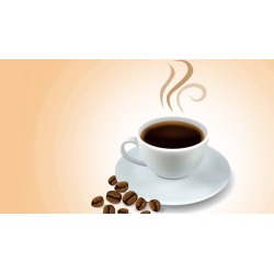 Java, from 1st code to expert programmer