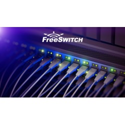 Installing and Setting up FreeSWITCH: Basics