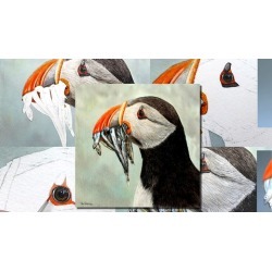 Bird Watercolour Painting - How To Paint a Realistic Puffin