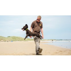 Dog Training for Humans - Clicker Free Trick Training