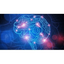 Professional Cognitive Behavioural Therapy (CBT) Diploma